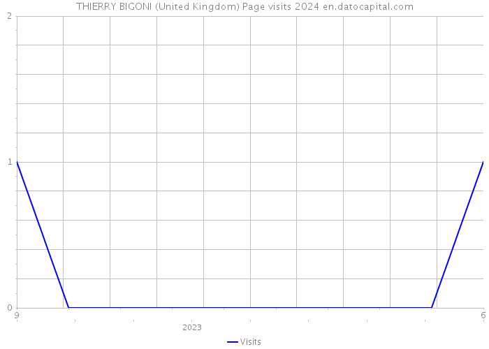 THIERRY BIGONI (United Kingdom) Page visits 2024 