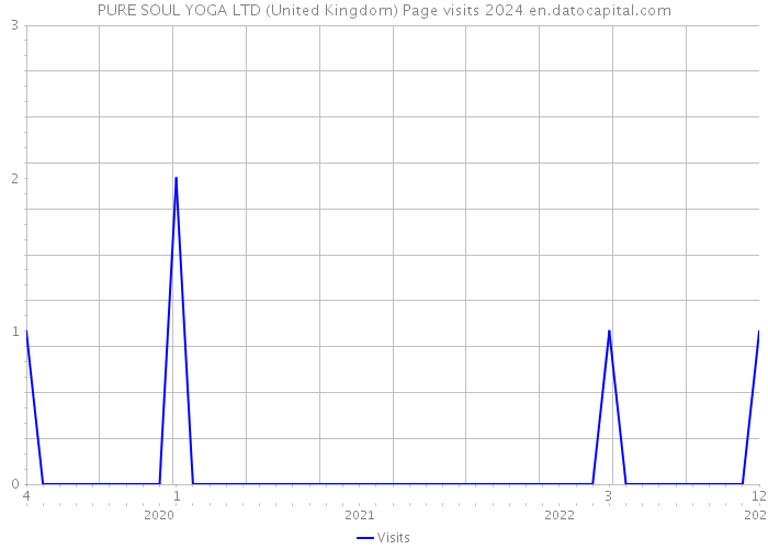 PURE SOUL YOGA LTD (United Kingdom) Page visits 2024 