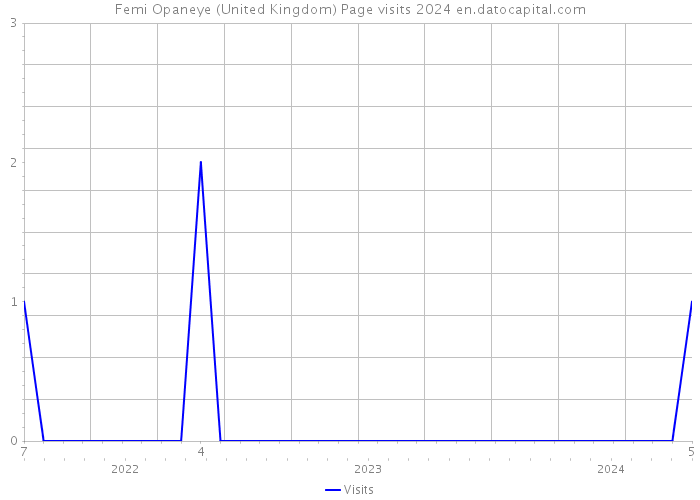 Femi Opaneye (United Kingdom) Page visits 2024 