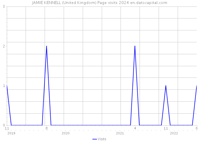 JAMIE KENNELL (United Kingdom) Page visits 2024 