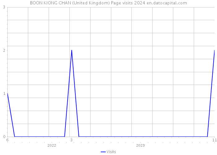 BOON KIONG CHAN (United Kingdom) Page visits 2024 