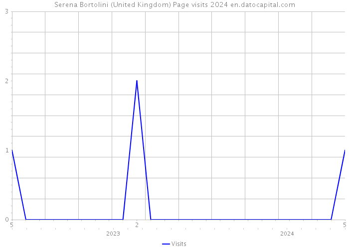 Serena Bortolini (United Kingdom) Page visits 2024 