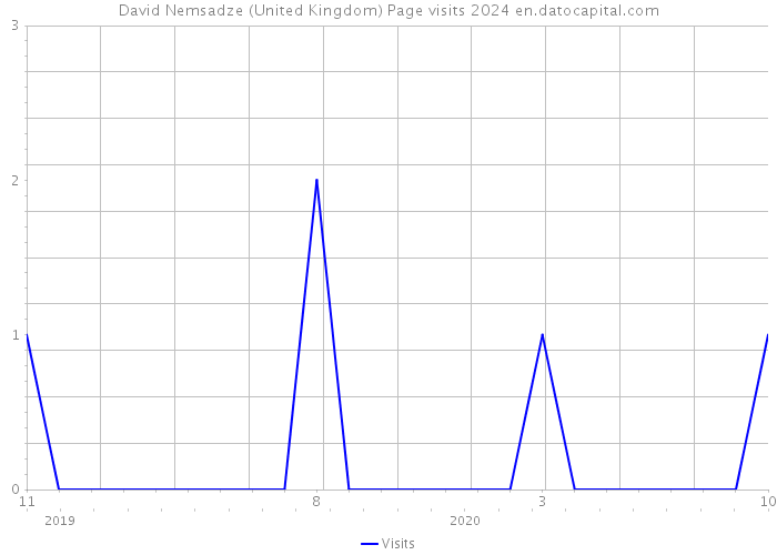 David Nemsadze (United Kingdom) Page visits 2024 