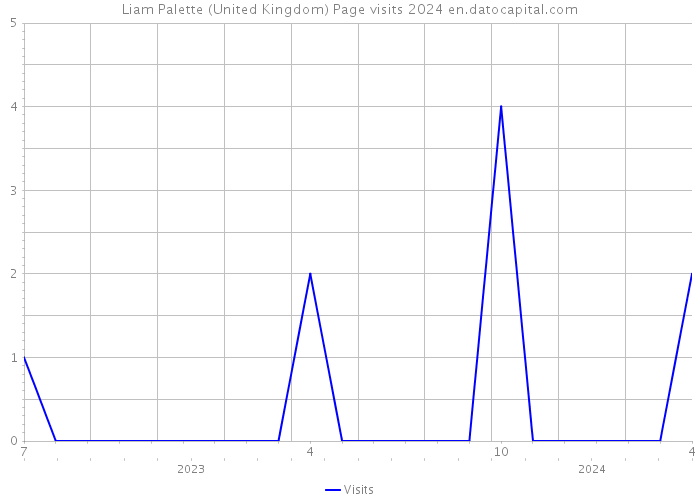 Liam Palette (United Kingdom) Page visits 2024 