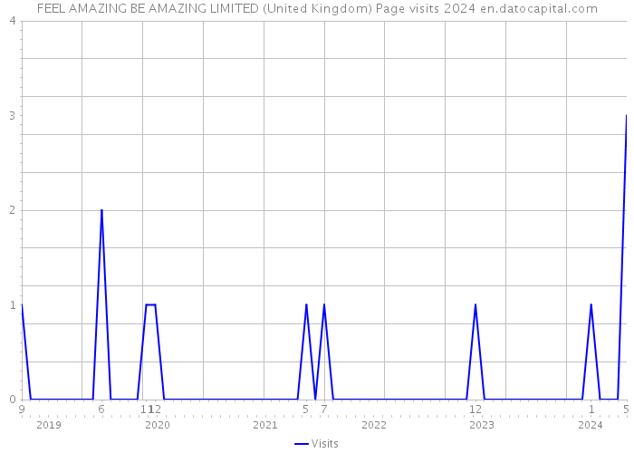 FEEL AMAZING BE AMAZING LIMITED (United Kingdom) Page visits 2024 