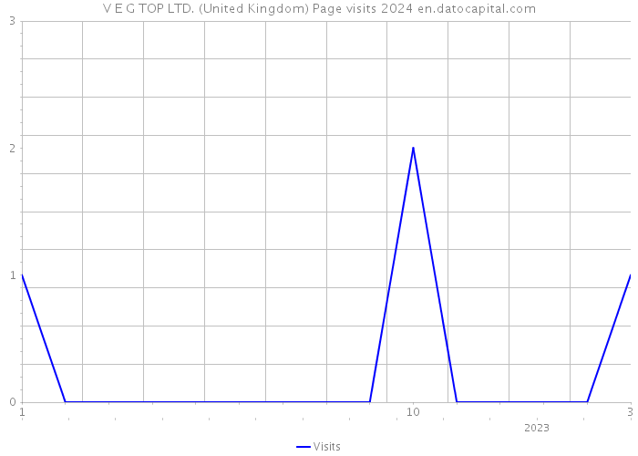 V E G TOP LTD. (United Kingdom) Page visits 2024 