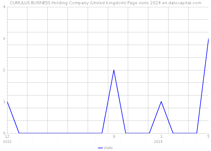 CUMULUS BUSINESS Holding Company (United Kingdom) Page visits 2024 