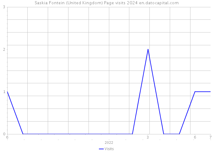Saskia Fontein (United Kingdom) Page visits 2024 