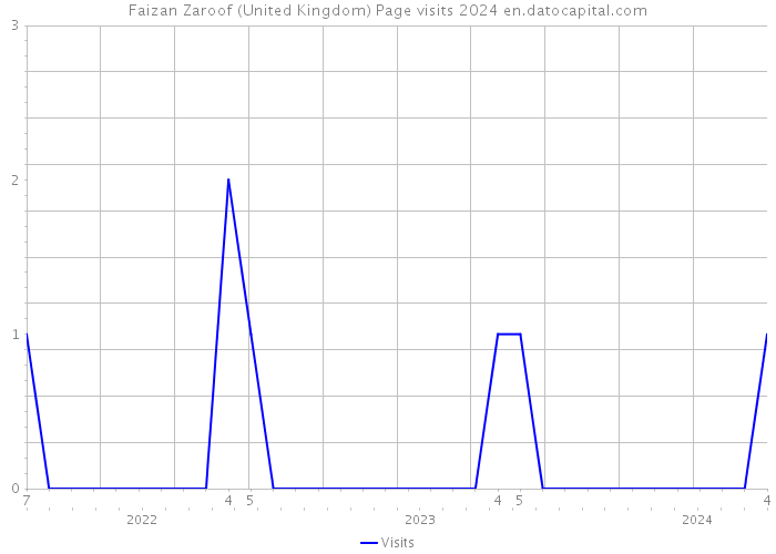 Faizan Zaroof (United Kingdom) Page visits 2024 