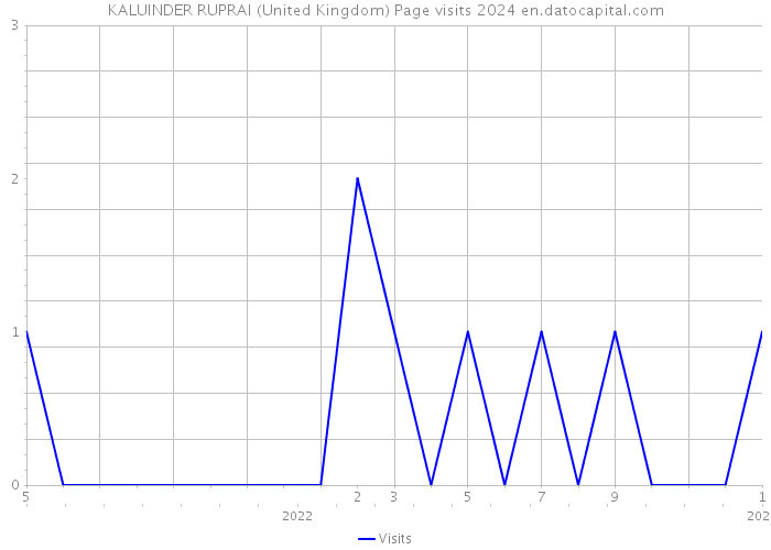 KALUINDER RUPRAI (United Kingdom) Page visits 2024 