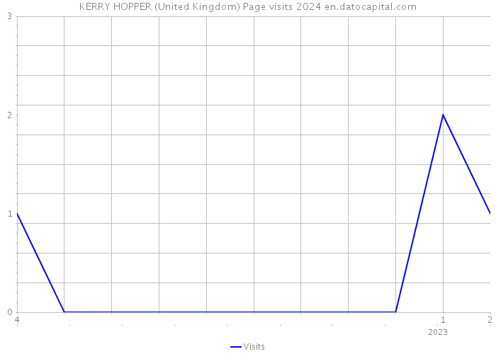 KERRY HOPPER (United Kingdom) Page visits 2024 