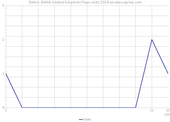SHAUL SHANI (United Kingdom) Page visits 2024 