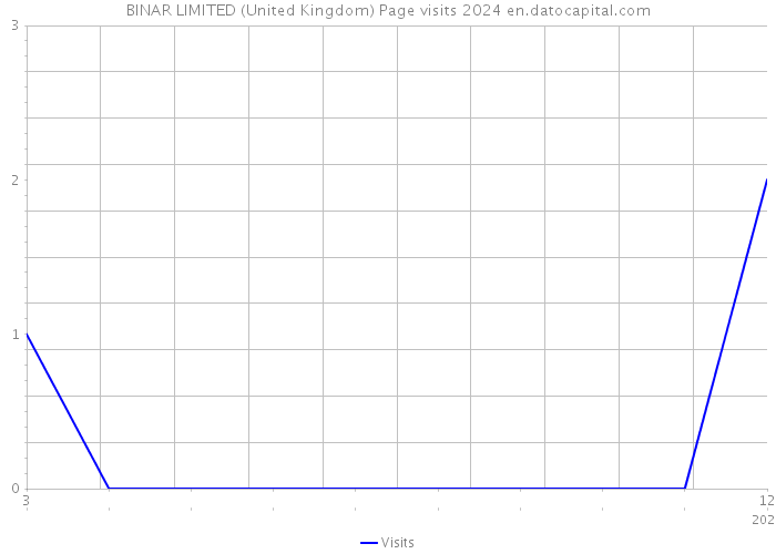 BINAR LIMITED (United Kingdom) Page visits 2024 