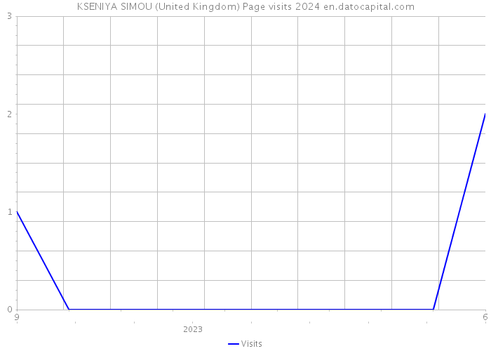 KSENIYA SIMOU (United Kingdom) Page visits 2024 