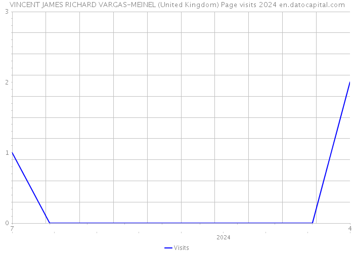 VINCENT JAMES RICHARD VARGAS-MEINEL (United Kingdom) Page visits 2024 