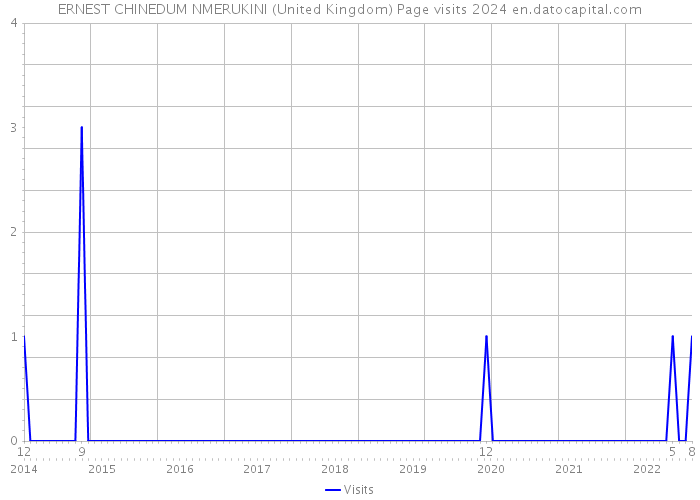 ERNEST CHINEDUM NMERUKINI (United Kingdom) Page visits 2024 