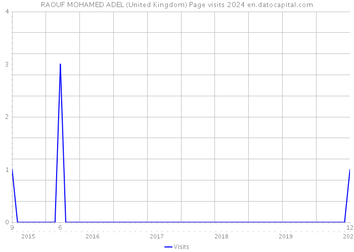 RAOUF MOHAMED ADEL (United Kingdom) Page visits 2024 