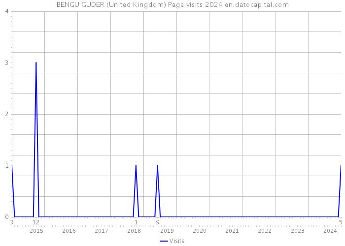 BENGU GUDER (United Kingdom) Page visits 2024 