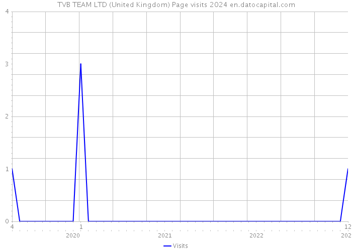 TVB TEAM LTD (United Kingdom) Page visits 2024 