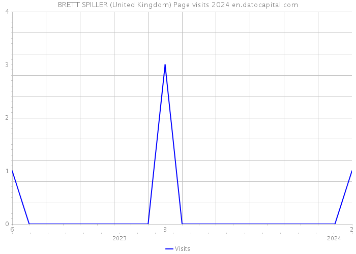 BRETT SPILLER (United Kingdom) Page visits 2024 