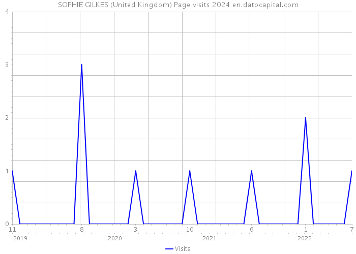 SOPHIE GILKES (United Kingdom) Page visits 2024 
