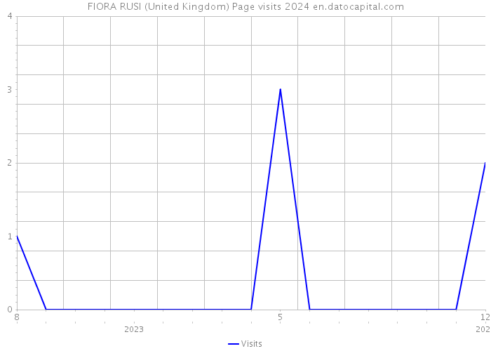 FIORA RUSI (United Kingdom) Page visits 2024 