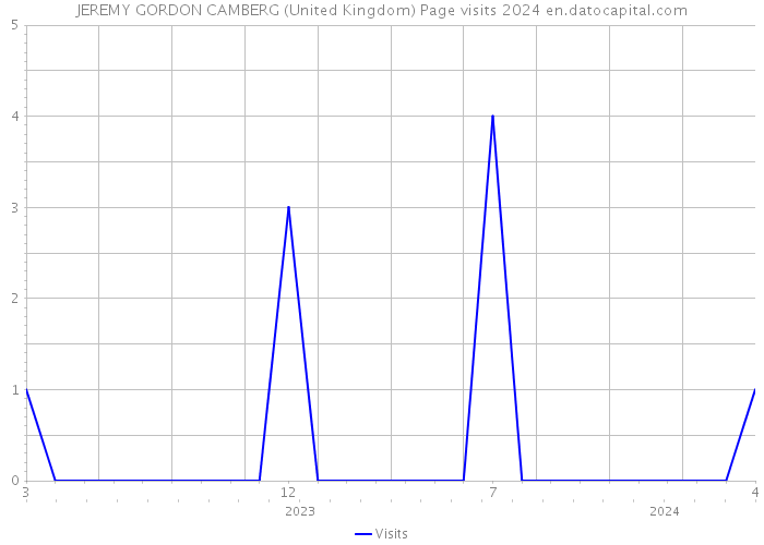 JEREMY GORDON CAMBERG (United Kingdom) Page visits 2024 
