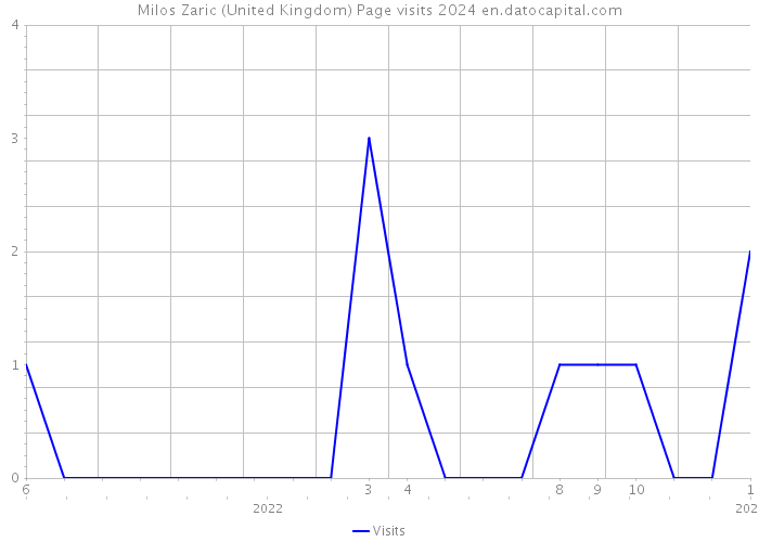Milos Zaric (United Kingdom) Page visits 2024 