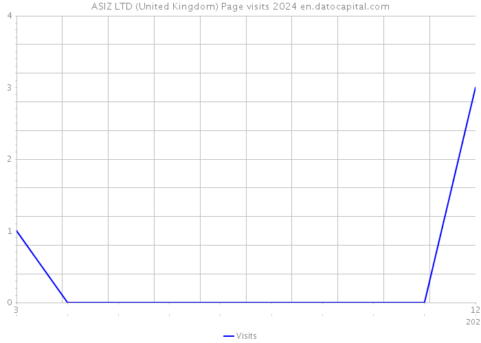 ASIZ LTD (United Kingdom) Page visits 2024 