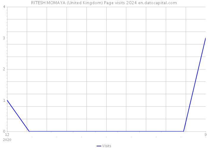 RITESH MOMAYA (United Kingdom) Page visits 2024 