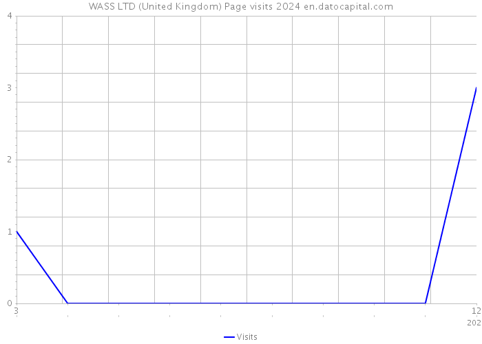 WASS LTD (United Kingdom) Page visits 2024 