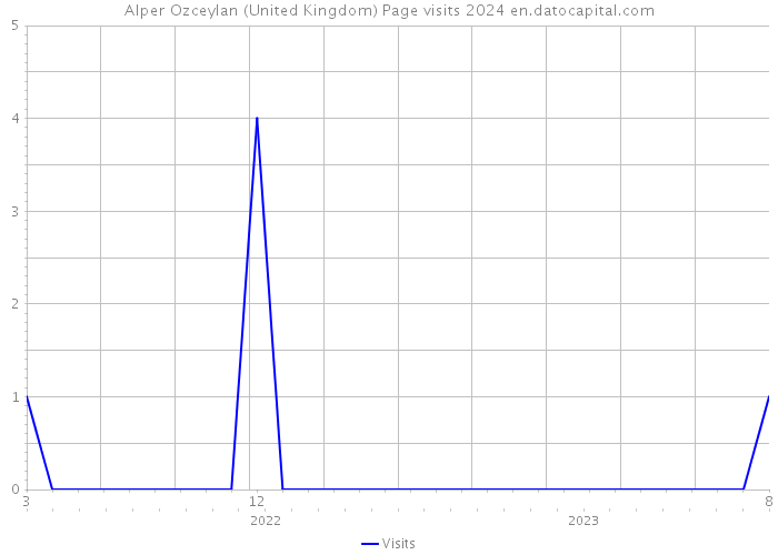 Alper Ozceylan (United Kingdom) Page visits 2024 
