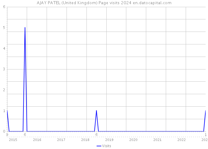 AJAY PATEL (United Kingdom) Page visits 2024 