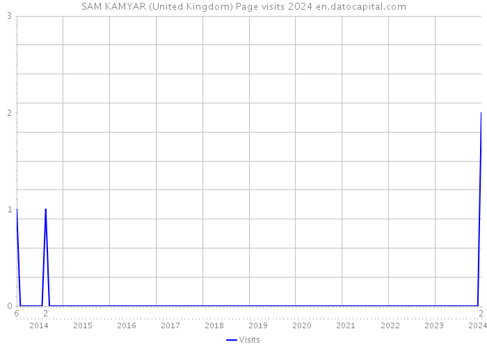 SAM KAMYAR (United Kingdom) Page visits 2024 