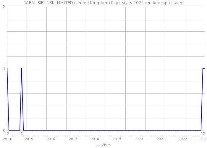 RAFAL BIELINSKI LIMITED (United Kingdom) Page visits 2024 