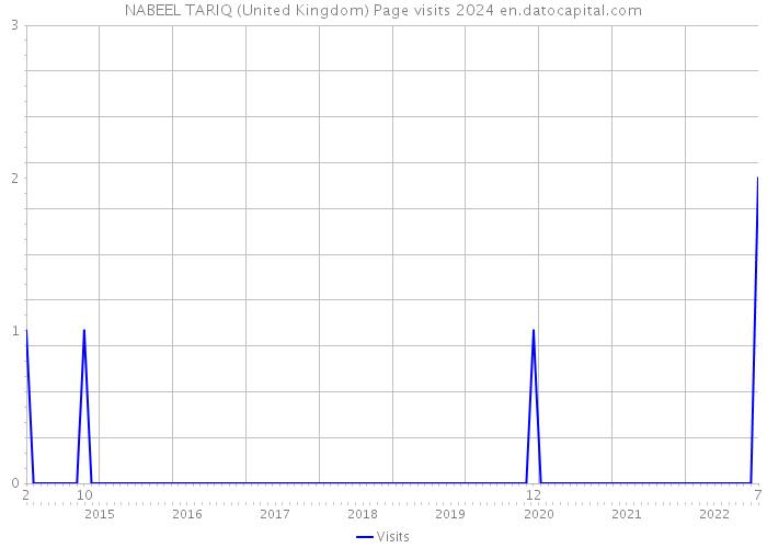 NABEEL TARIQ (United Kingdom) Page visits 2024 