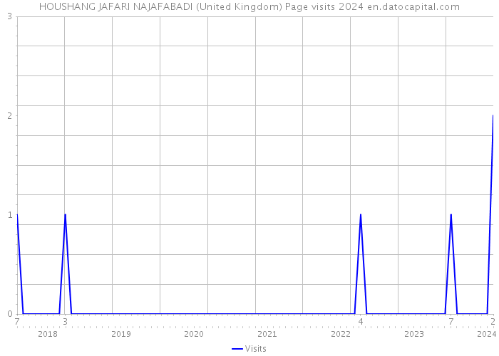 HOUSHANG JAFARI NAJAFABADI (United Kingdom) Page visits 2024 