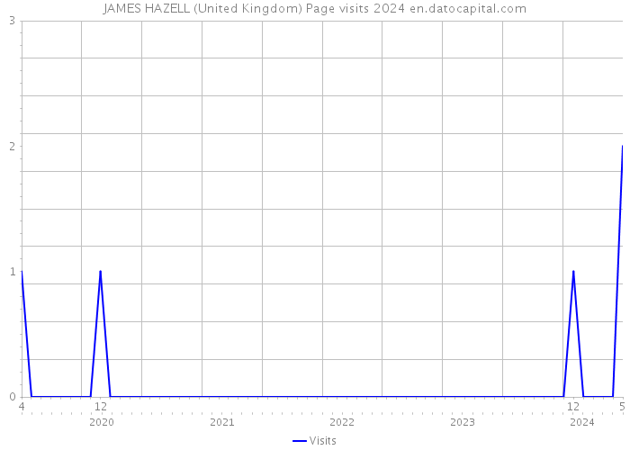 JAMES HAZELL (United Kingdom) Page visits 2024 