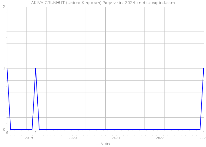 AKIVA GRUNHUT (United Kingdom) Page visits 2024 