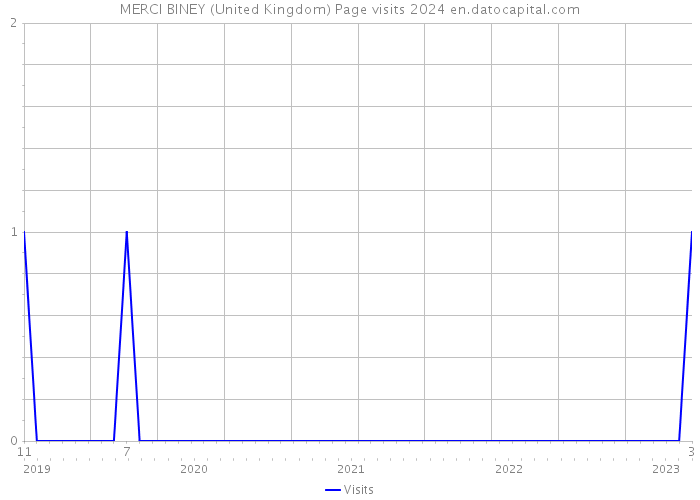 MERCI BINEY (United Kingdom) Page visits 2024 