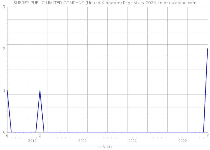 SURREY PUBLIC LIMITED COMPANY (United Kingdom) Page visits 2024 