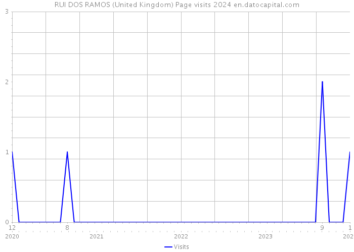 RUI DOS RAMOS (United Kingdom) Page visits 2024 
