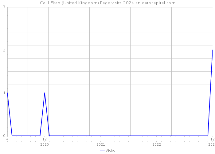 Celil Eken (United Kingdom) Page visits 2024 