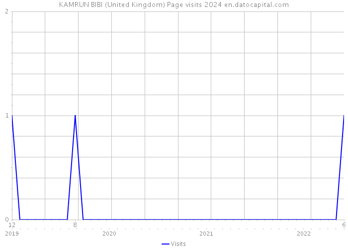 KAMRUN BIBI (United Kingdom) Page visits 2024 