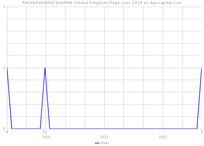RAGHUNANDAN SHARMA (United Kingdom) Page visits 2024 