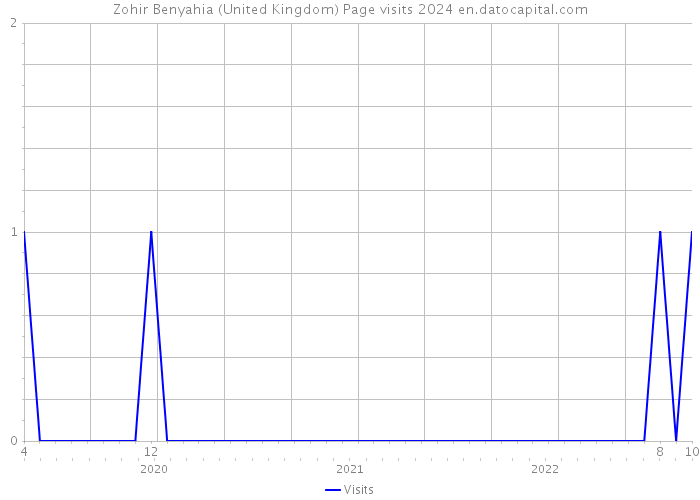 Zohir Benyahia (United Kingdom) Page visits 2024 