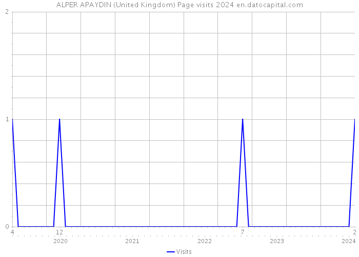 ALPER APAYDIN (United Kingdom) Page visits 2024 