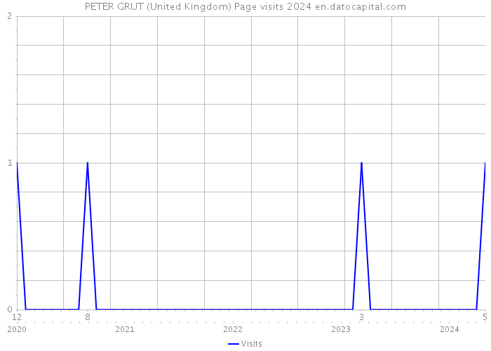 PETER GRUT (United Kingdom) Page visits 2024 