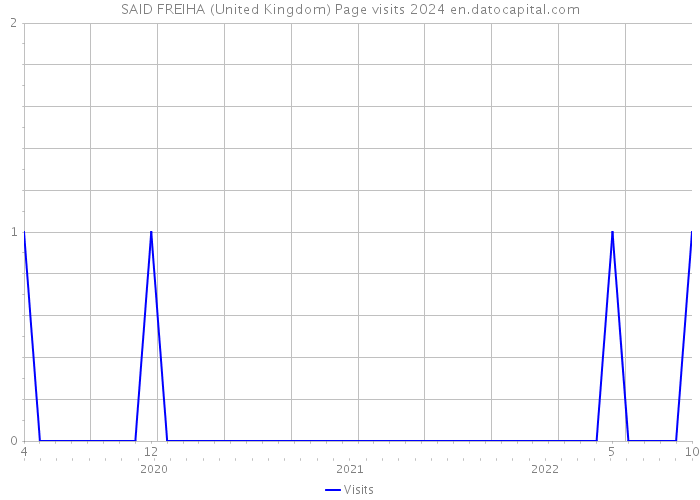SAID FREIHA (United Kingdom) Page visits 2024 