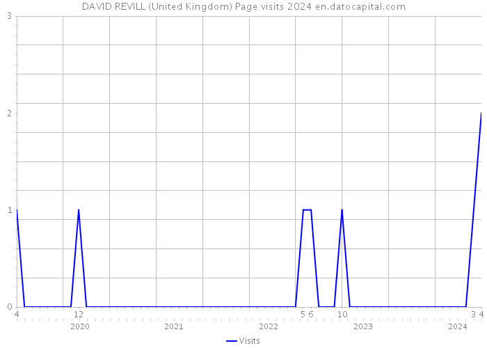 DAVID REVILL (United Kingdom) Page visits 2024 